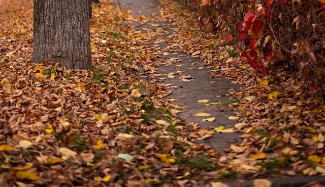 Schläuche für Laubabsaugung