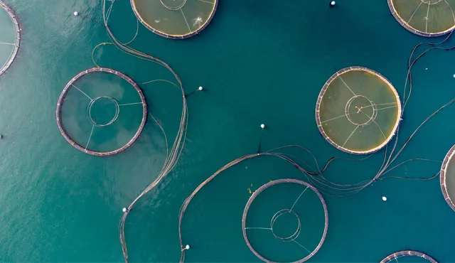 Schläuche für Fischzucht