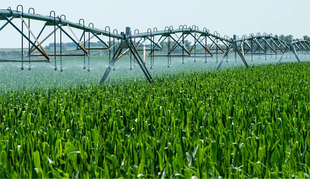 Schläuche für Bewässerung