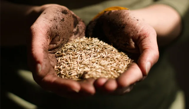 Schläuche für Saatgutförderung