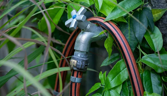 Schläuche für Garten