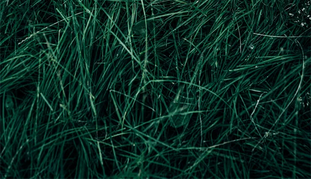 Schläuche für Grasabsaugung