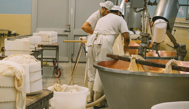 Schläuche für Lebensmittelförderung